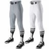 Evoshield Salute Men's Knicker Short Baseball Pant WB60005 -Baseball Eouipment Shop Cover 21331.1646092132 1