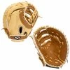 Mizuno Franchise 12.5" Baseball First Base Mitt GXF90B4 312973 -Baseball Eouipment Shop Cover 43932.1625867856