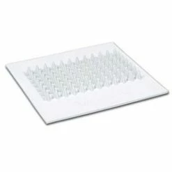 Champro Cleat Cleaner ACC