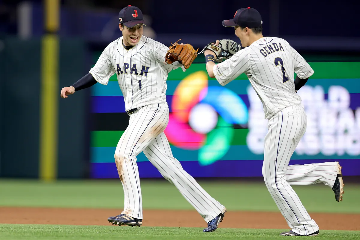 Baseball Eouipment Shop 3 Baseball Eouipment Shop -Baseball Eouipment Shop 6